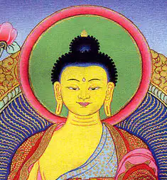 Dalai Lama, Ven. Kusalasitto, Matthieu Ricard, Paul Ekman, Dan Flanagan 