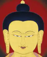 Dzigar Kongtrul Rimpoché y Pema Chödron.